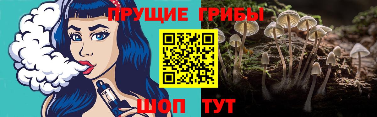закладка  Галлюциногенные грибы Magic Shrooms  Вход с VPN  Псилоцибиновые грибы Psilocybine cubensis  Звенигород 